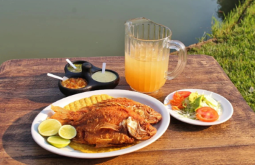 mojarra